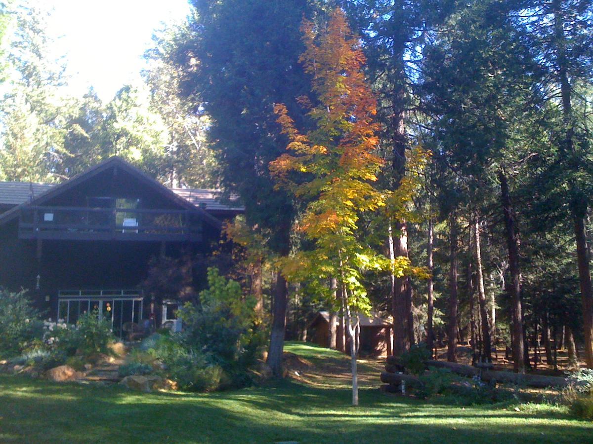Harmony Ridge Lodge Nevada City Εξωτερικό φωτογραφία