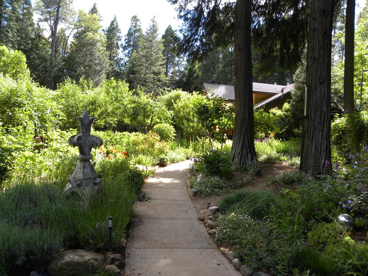Harmony Ridge Lodge Nevada City Εξωτερικό φωτογραφία