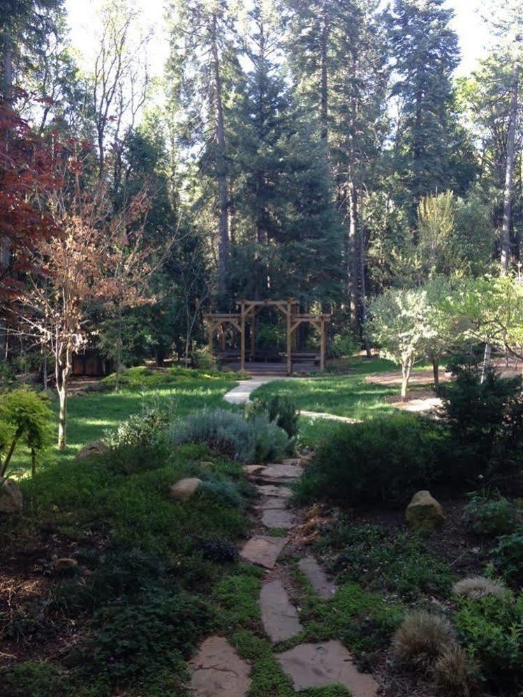 Harmony Ridge Lodge Nevada City Εξωτερικό φωτογραφία