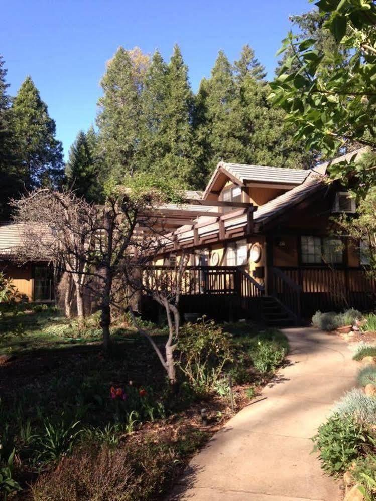 Harmony Ridge Lodge Nevada City Εξωτερικό φωτογραφία