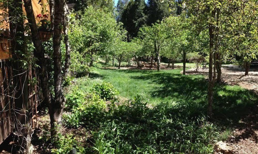 Harmony Ridge Lodge Nevada City Εξωτερικό φωτογραφία